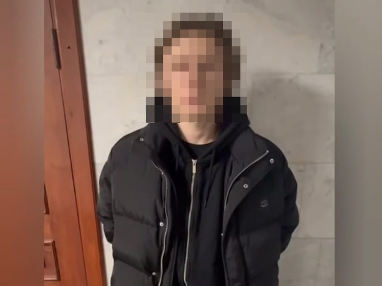     Очевидцы такого зрелища сразу сообщили в полицию. Фото: скриншот с видео пресс-службы ГУ МВД России по Северной столице