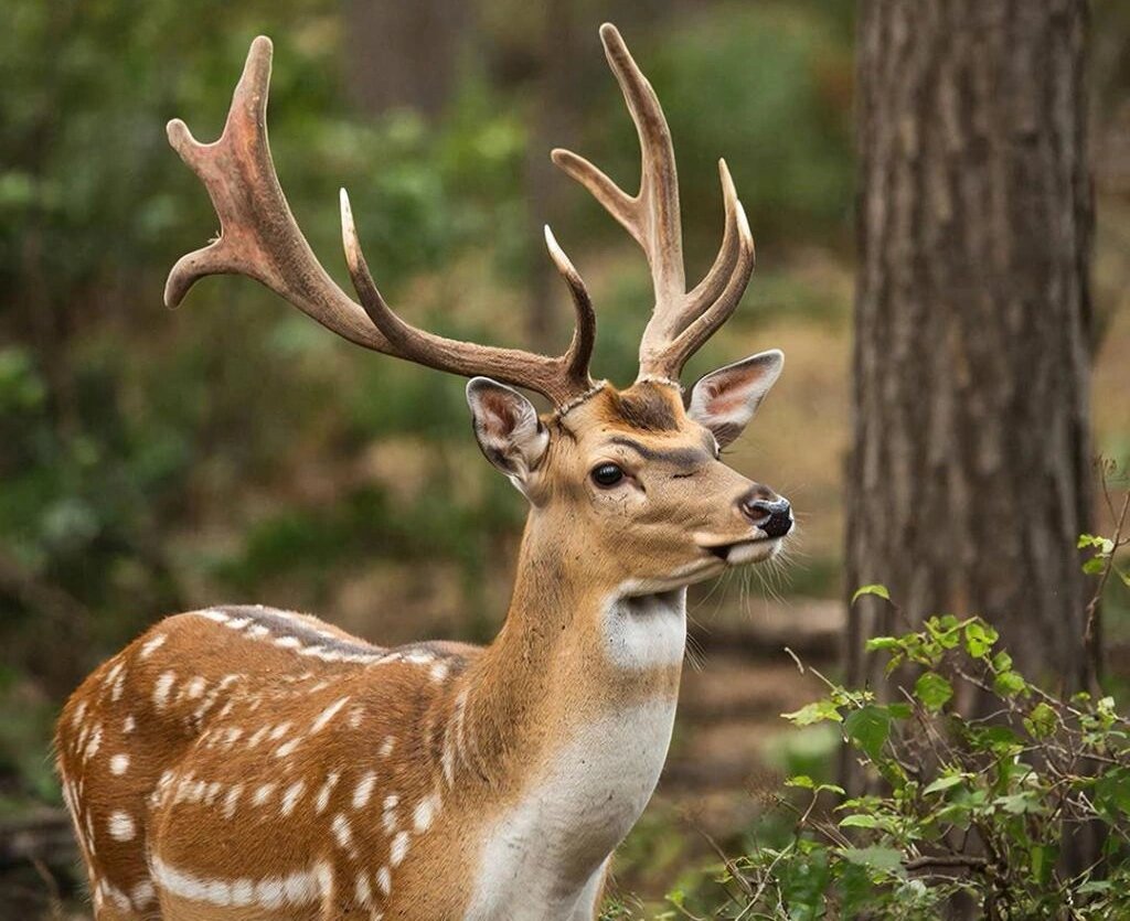   Фото: Нейросеть