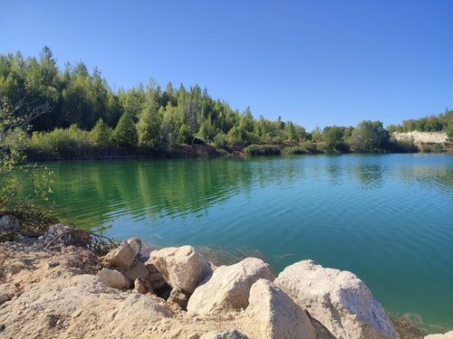 Изображение взято с интернет сайта https://www.google.com/search?client=ms-android-xiaomi&hs