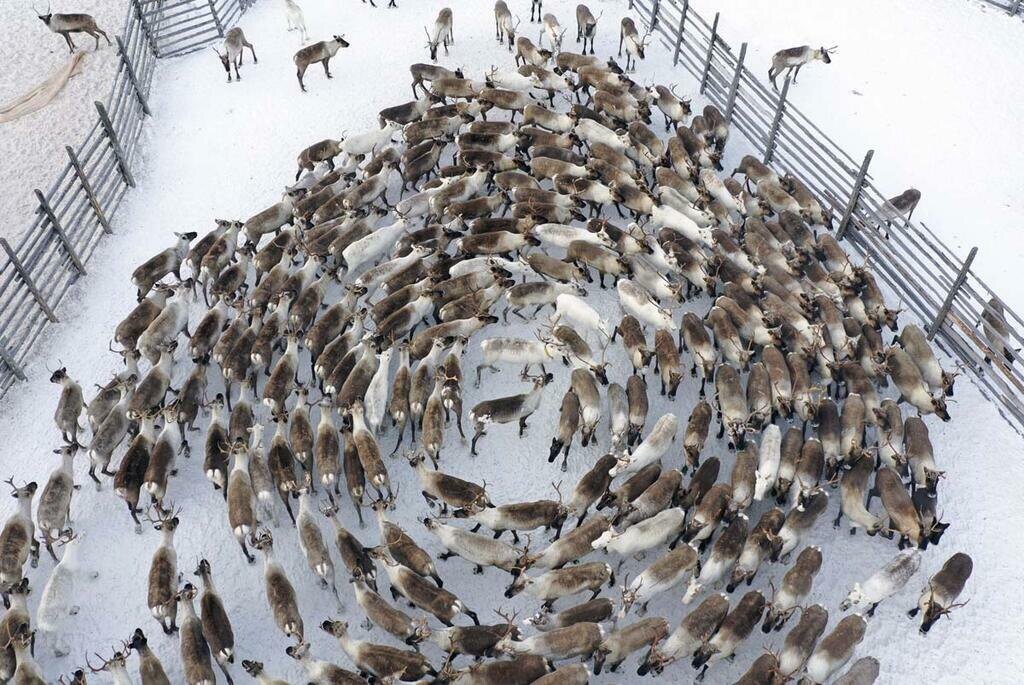 Фотография из интернета