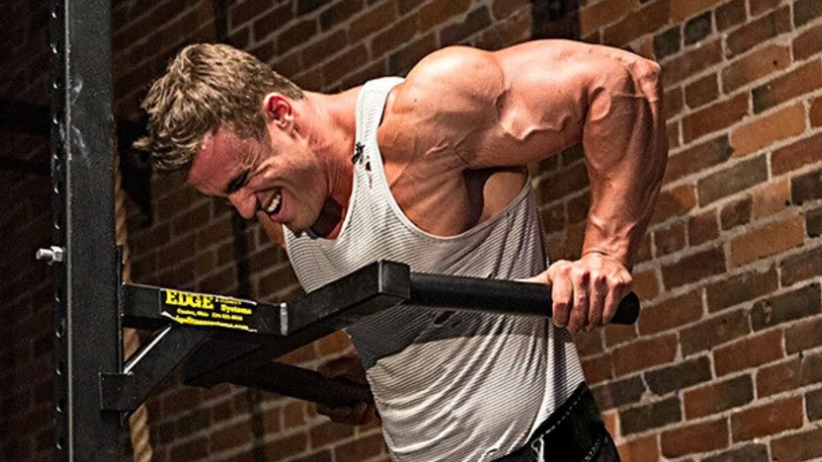 Стремление → Система → Самодисциплина → Результат