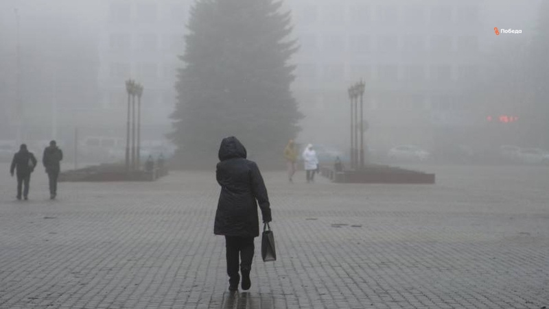      Фото: Валерия Алтухова/ / ИА «Победа26»