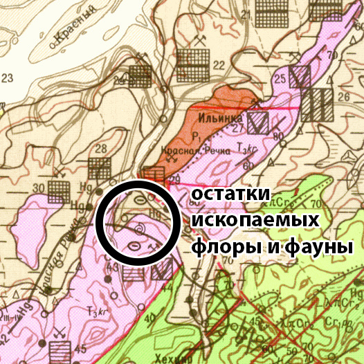 Геологическая карта Хабаровска