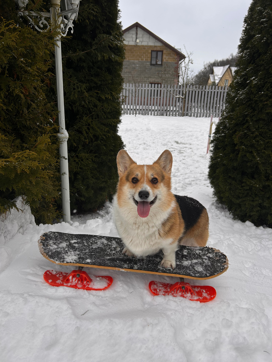 Мэрюша позирует на скейте! 
