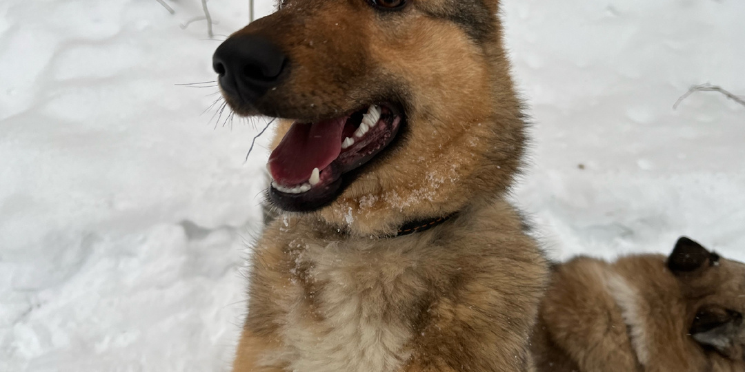 География доброты: низкий поклон нашим друзьям