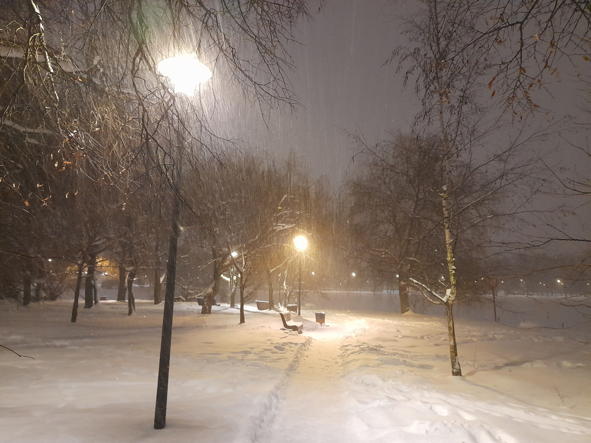 Наш парк 08.09.2026