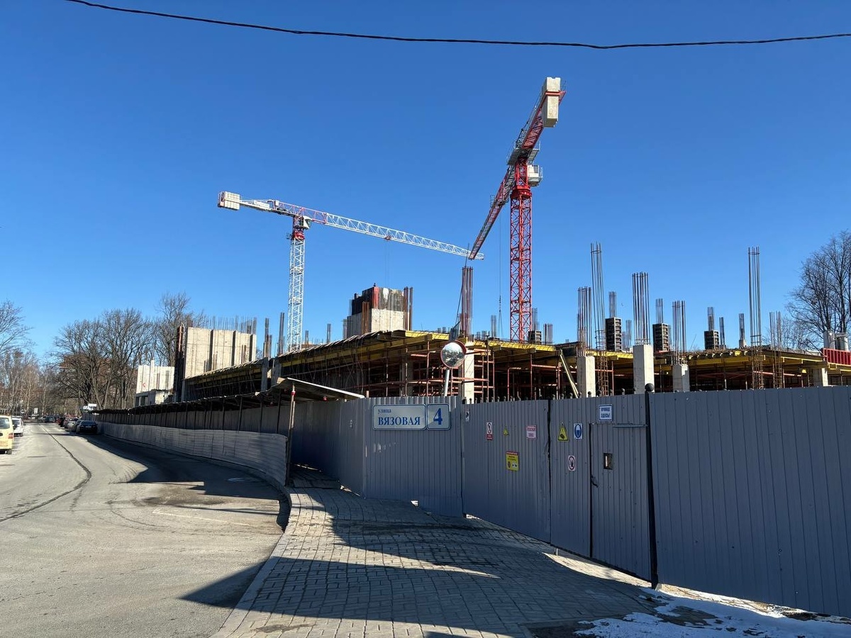 Фото: Neva.Today