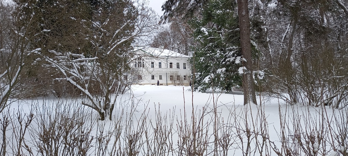 Ясная поляна