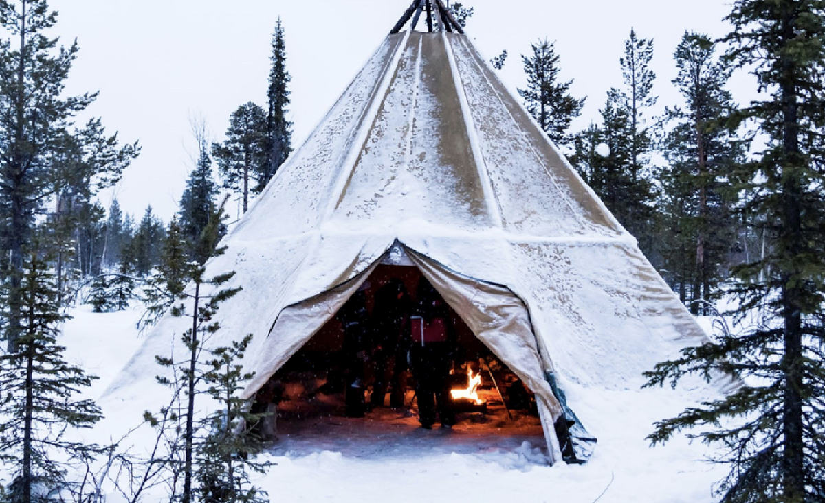 Фото взято из открытого источника