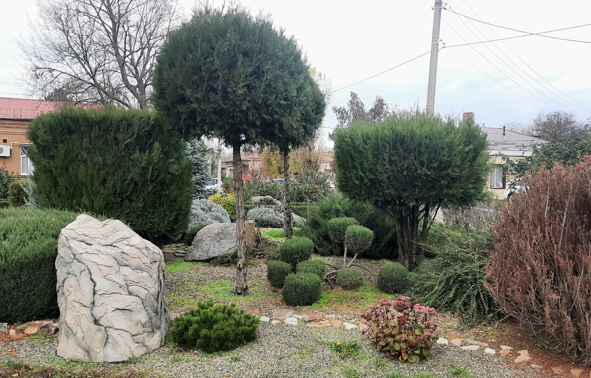 Больничный городок 