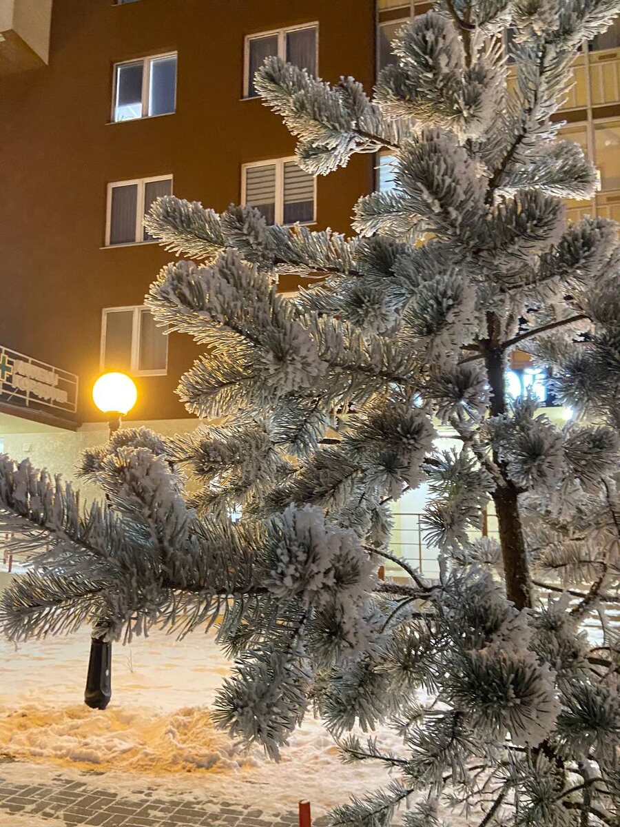  Зима у нашего дома в день Рождества Христова.