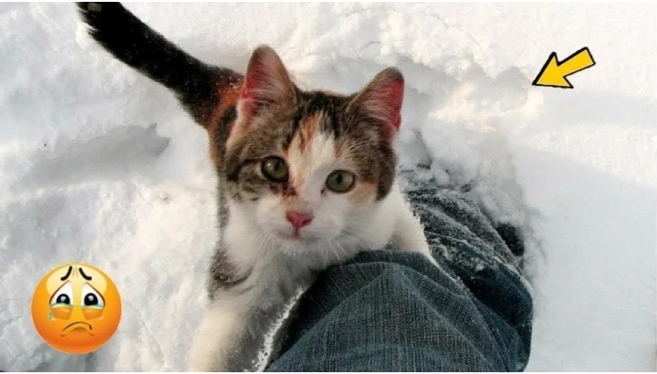 Забери меня домой пожалуйста....