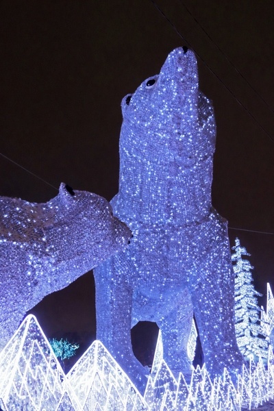 Ростокинские медведи 2026 Фото Галины Савинич