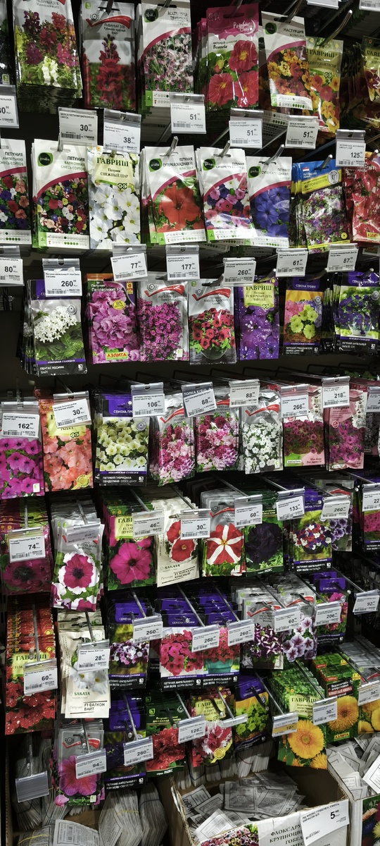 Петунии разные, от 30р до редких видов по 340р