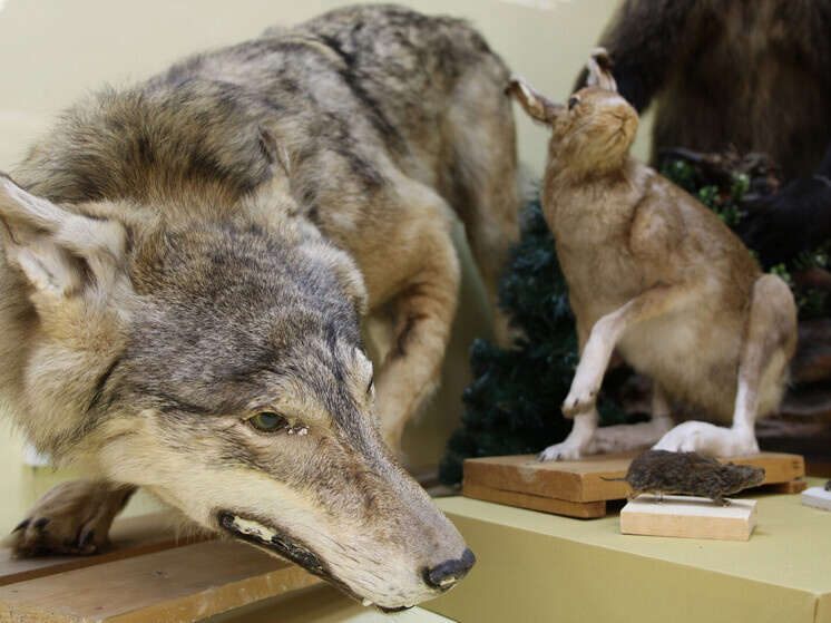     Фото:cultinfo.ru