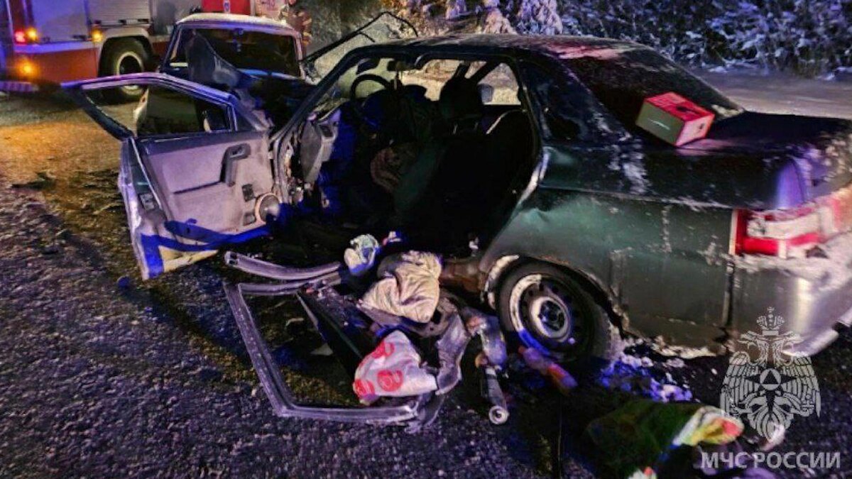    Фото: t.me/gumchslo