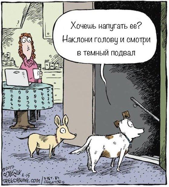 Карикатурист Дэйв Коверли