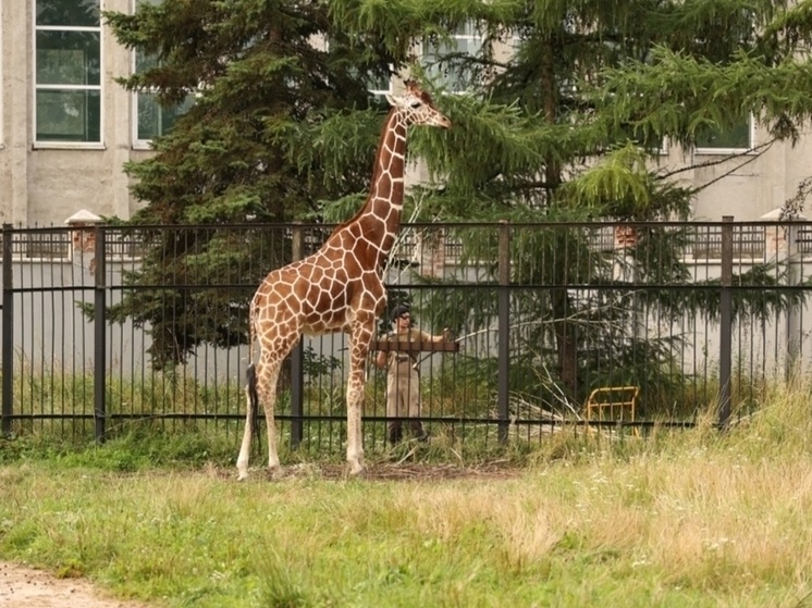     Фото: официальное сообщество во ВКонтакте правительства Калининградской области.