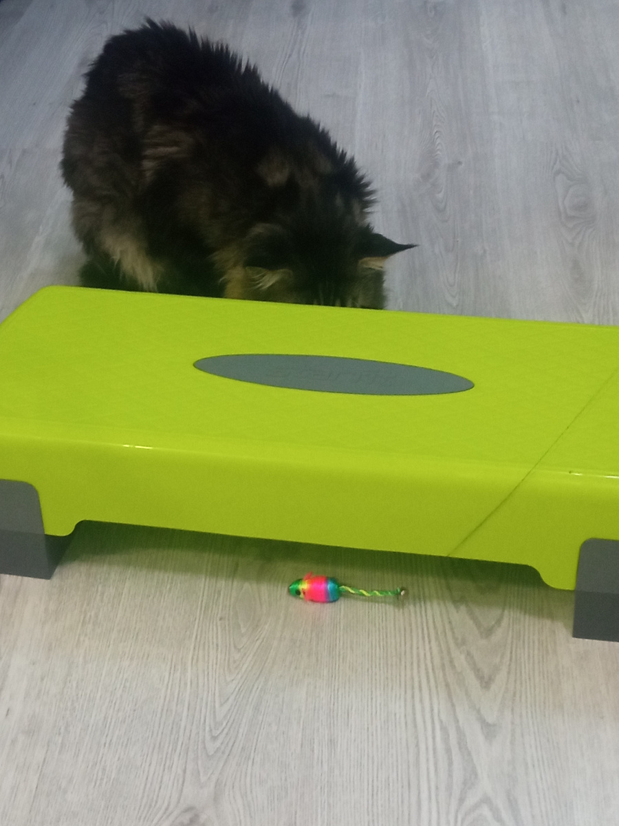 Личное фото