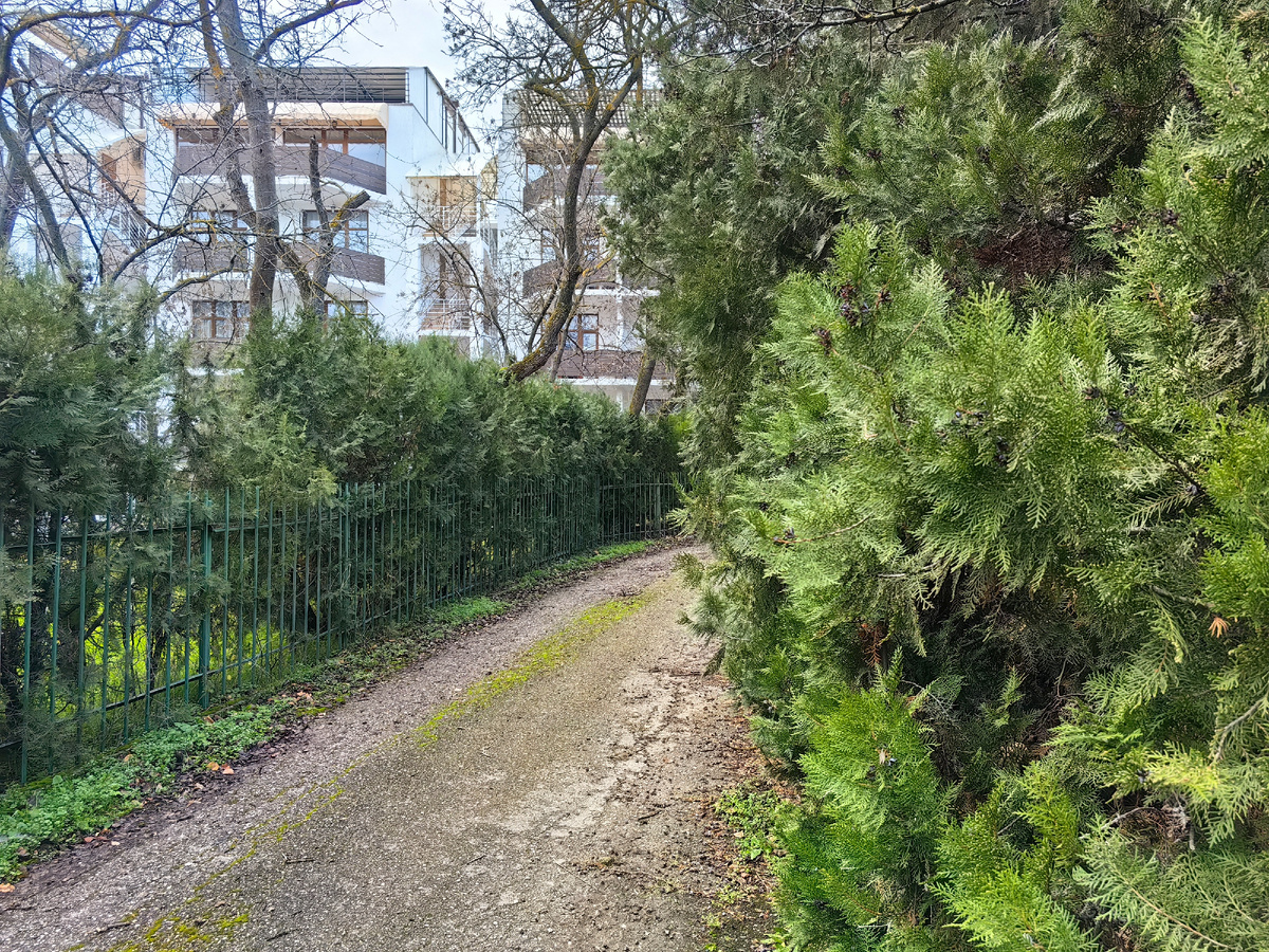 Сегодня. Фото автора канала