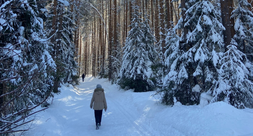    Фото prochepetsk.ru