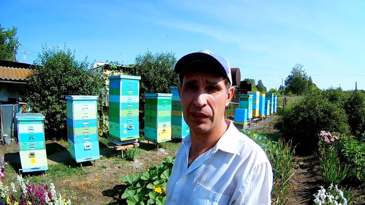 главный медосбор в разгаре