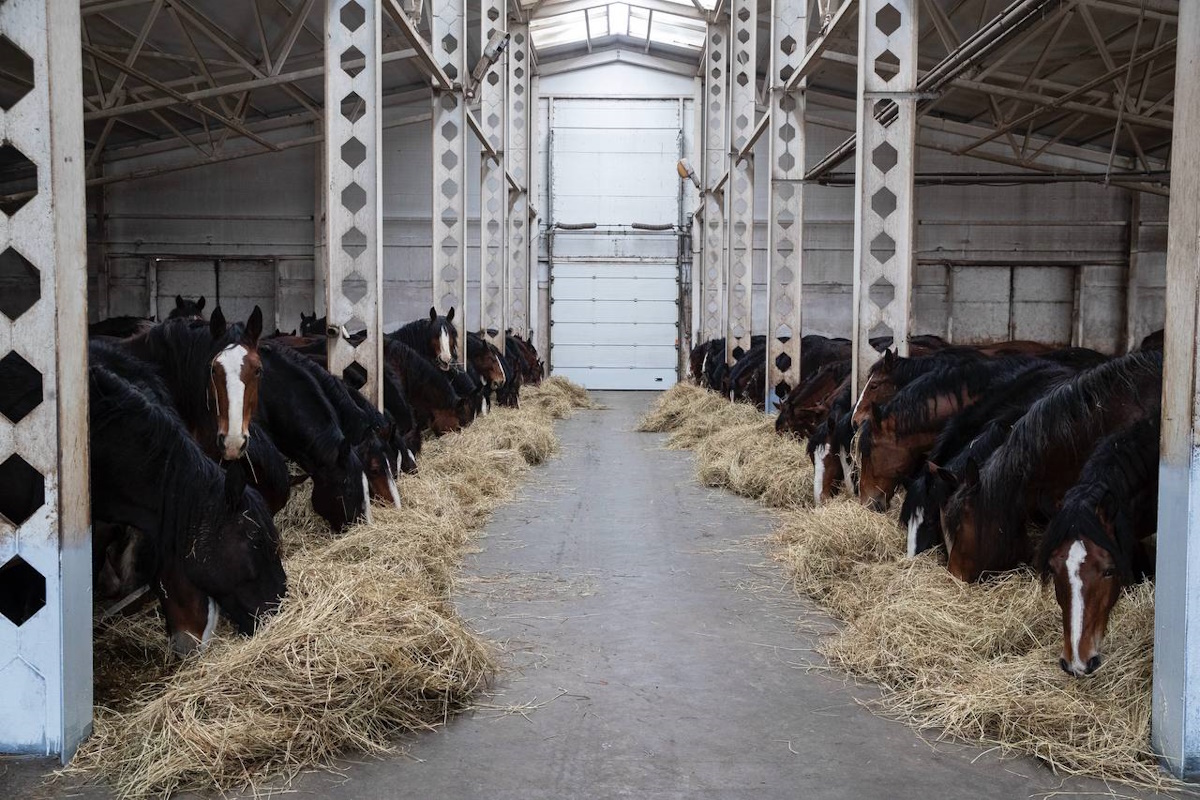   Фото: правительство Ивановской области, источник: ivteleradio.ru