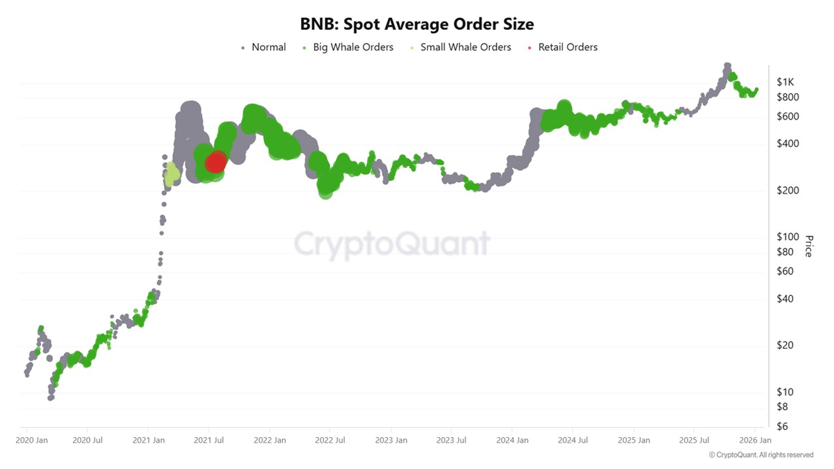    Средний размер спотового ордера по BNB. Данные: CryptoQuant Nhat Hoang