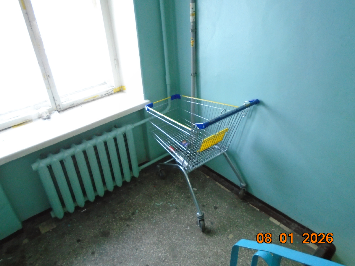 Совсем новая тележка из "Ленты" уже стала частной собственностью.