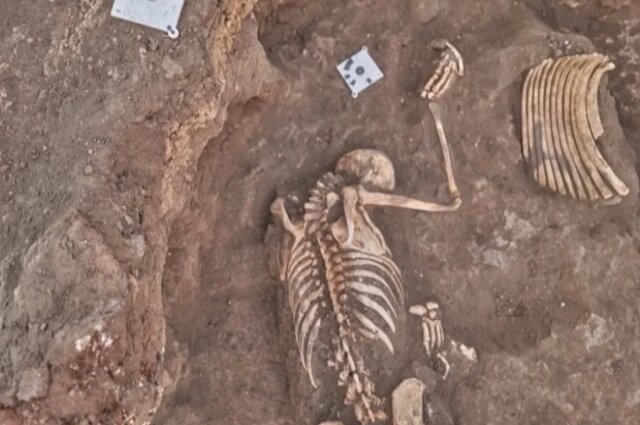    Фото: НПЦ по охране обьектов культурного наследия