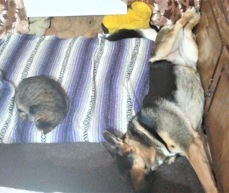 Фото автора