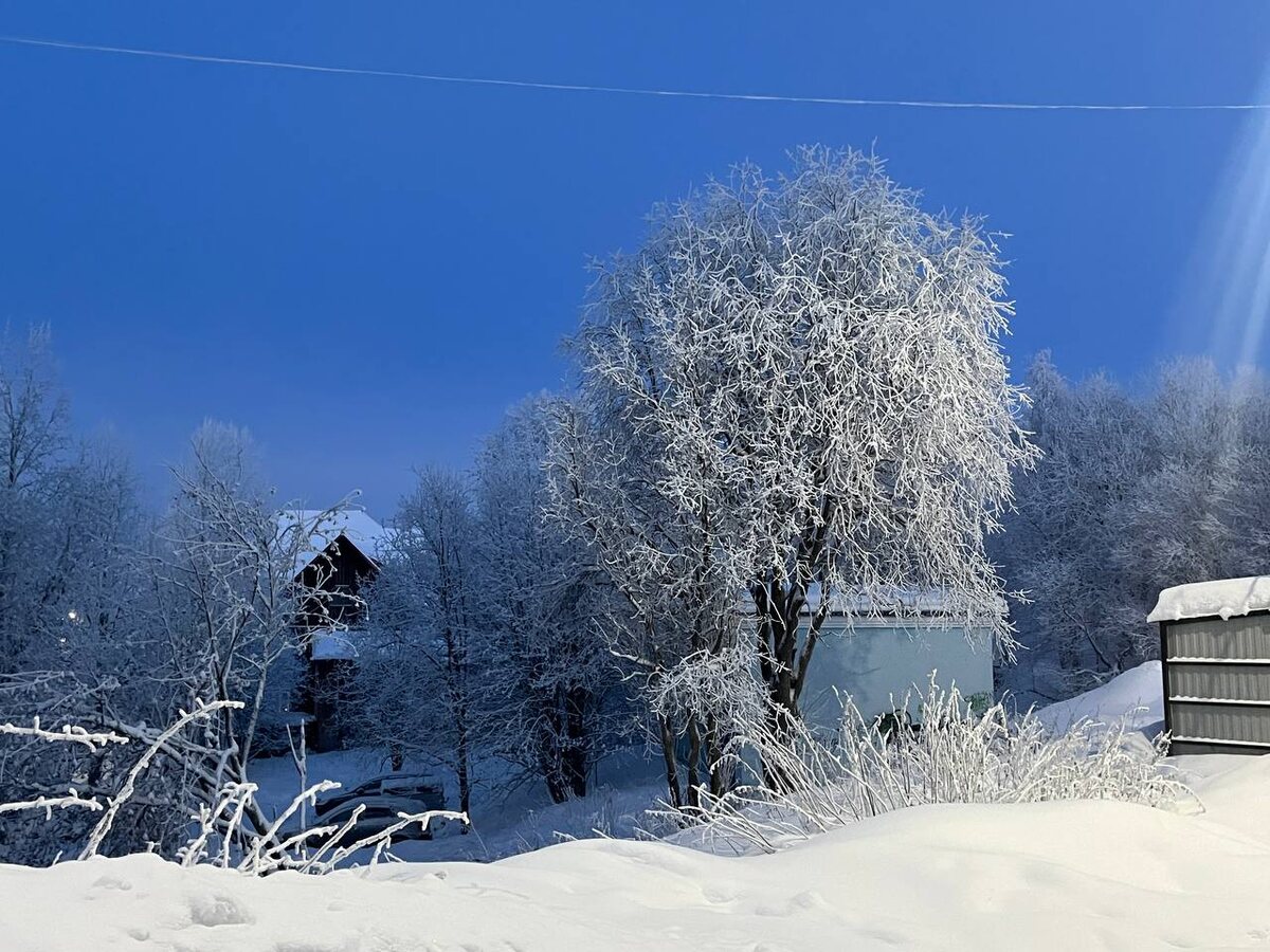 Мурманская область