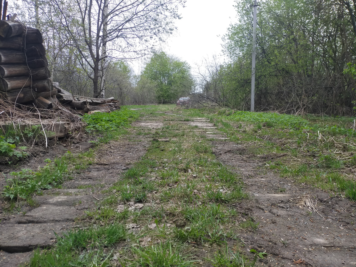 Дорога в деревню 