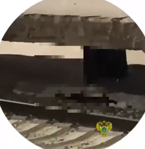    Фото: кадр видео пресс-служба Северо-Западной транспортной прокуратуры