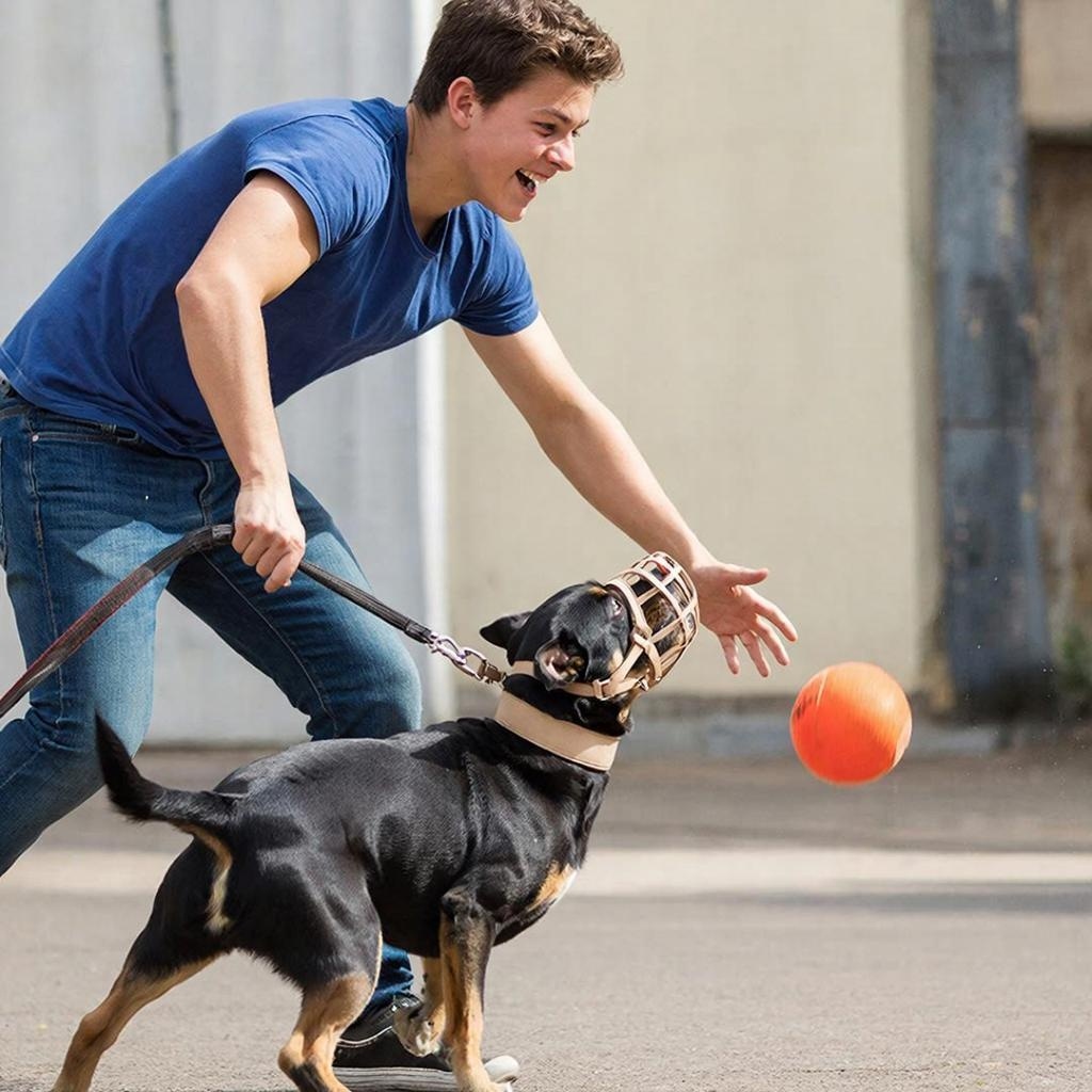 Картинка сгенерирована автором в нейросети. 