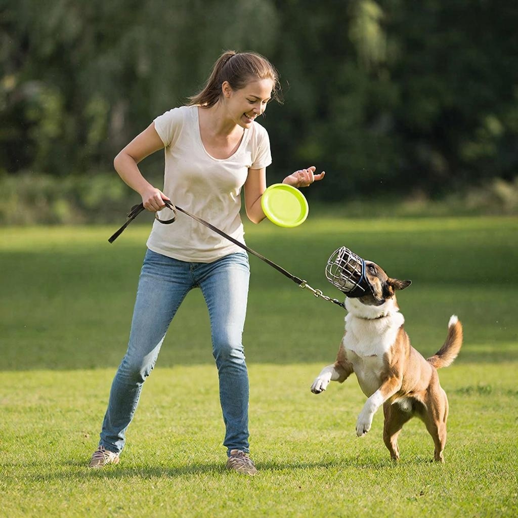 Картинка сгенерирована автором в нейросети. 