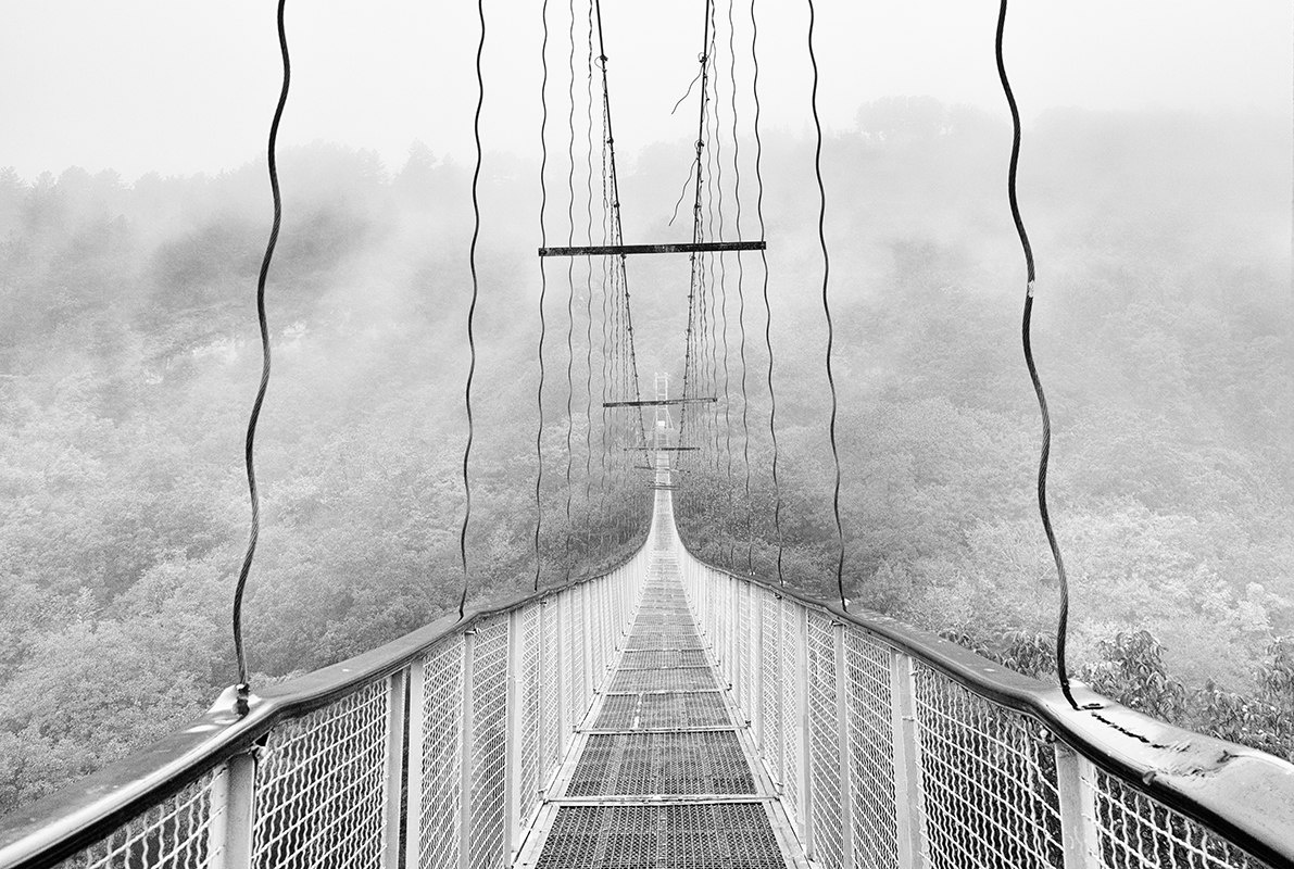 авторское фото: Анна Давидян