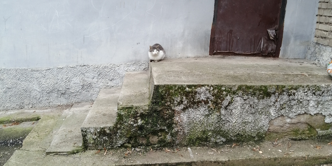 Разбитые сердца