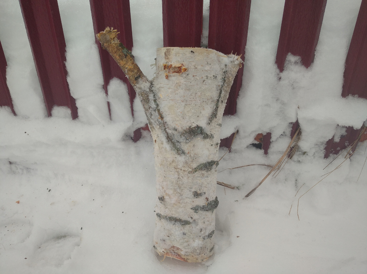 Весельчак или зазнайка