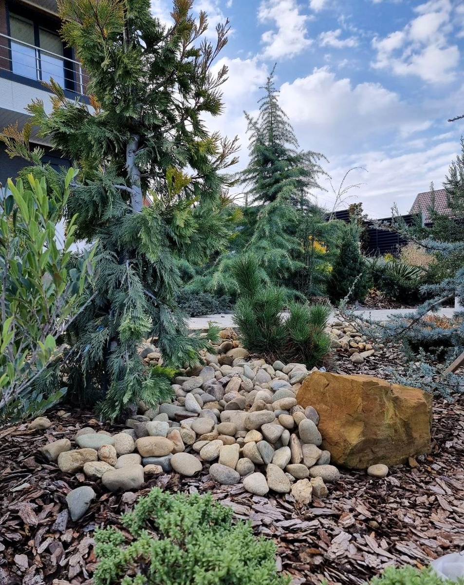 Январь. Анапа. Мой сад.