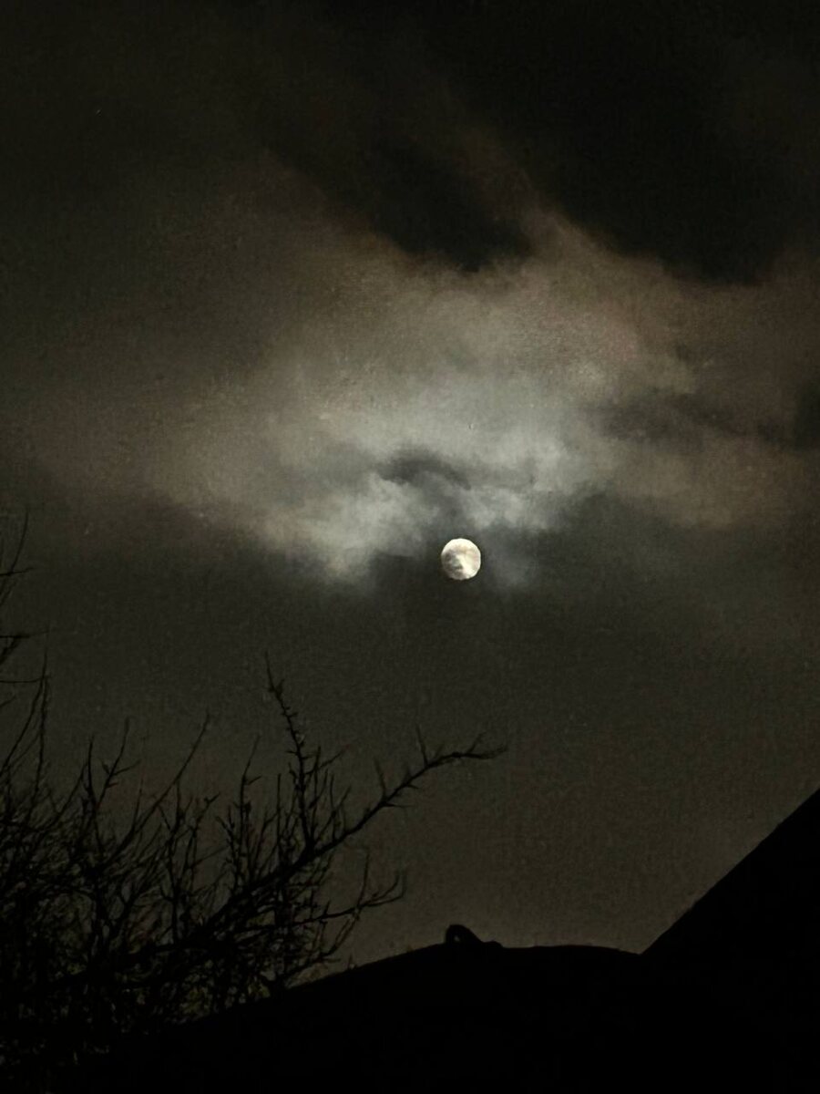 Архивные фото.