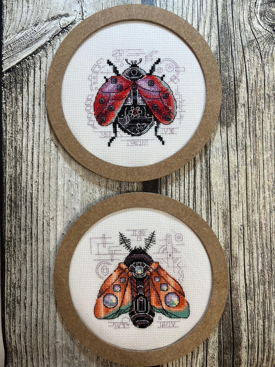 «Божья коровка» и Бражник»