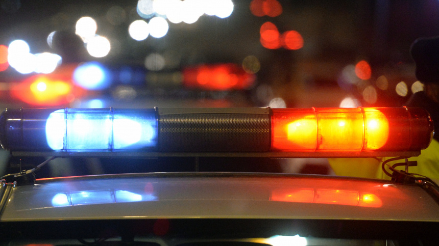    Фото: © РИА Новости/ Илья Наймушин; 5-tv.ru