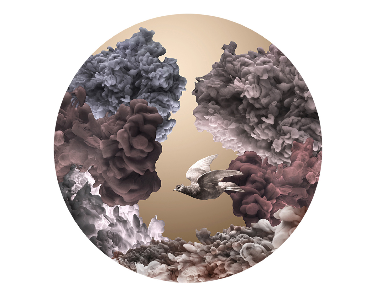 фото: Александр Куликов