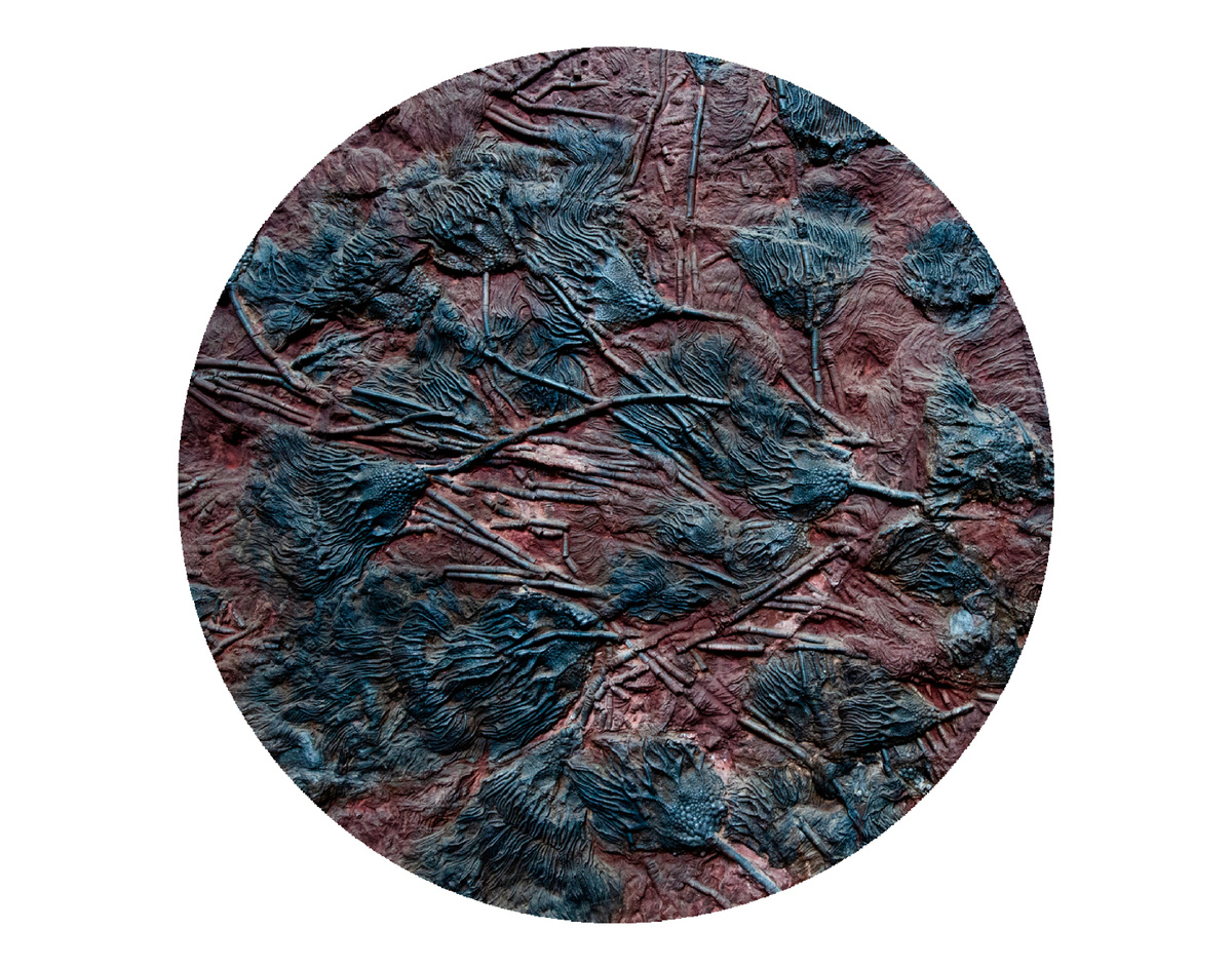 фото: олеся Присяжная