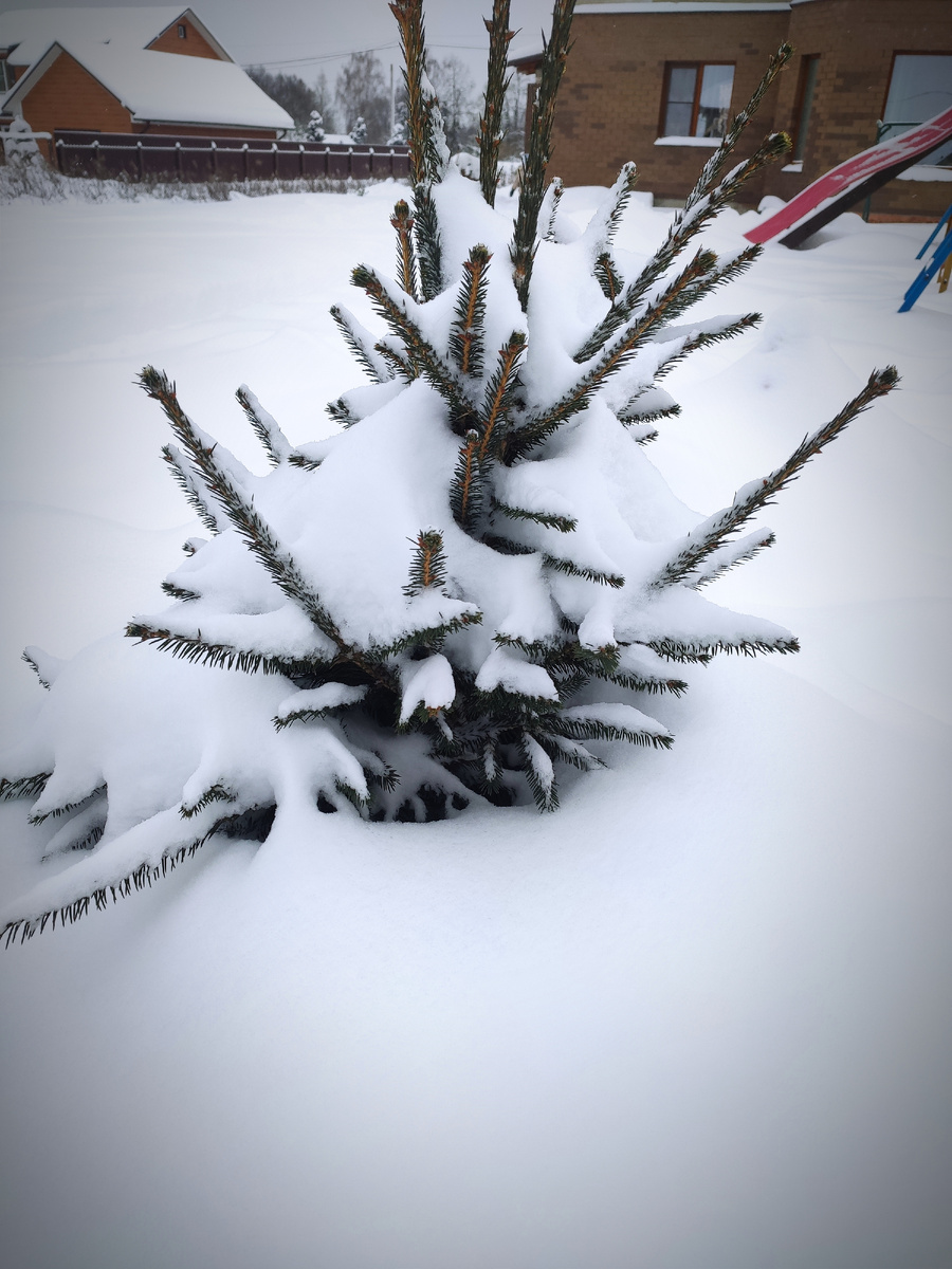 Снегом всё заметает 