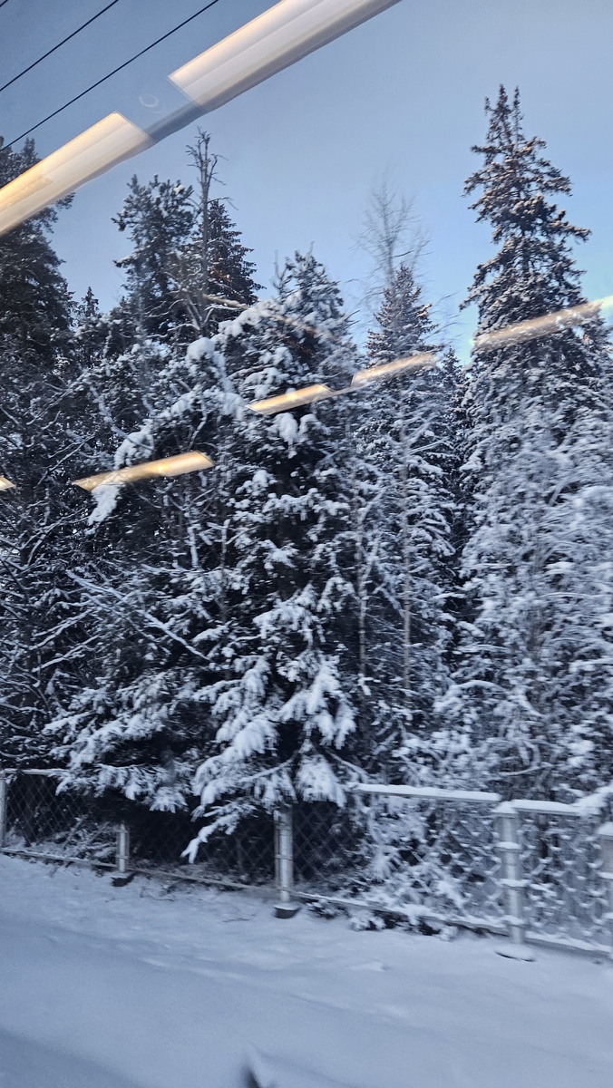 Из окна электрички "Ласточки" (фотография автора)