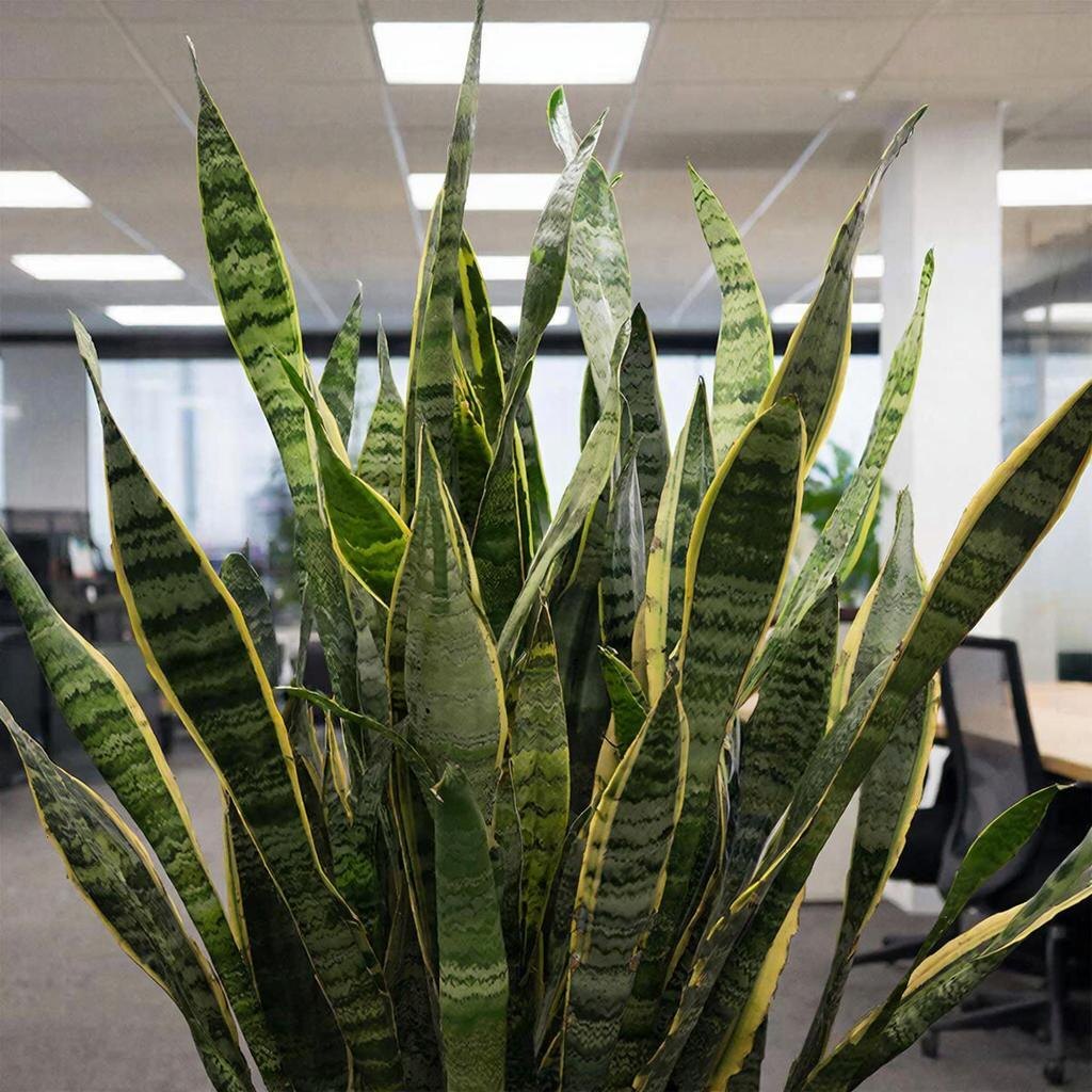 У кого есть такое ставьте ❤️