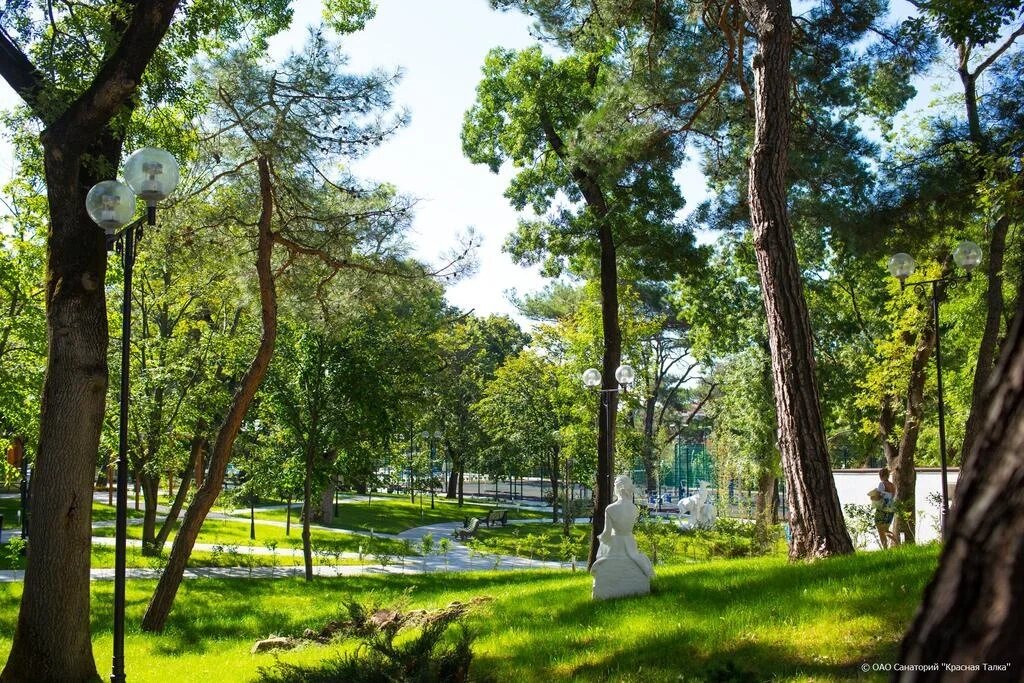 Территория