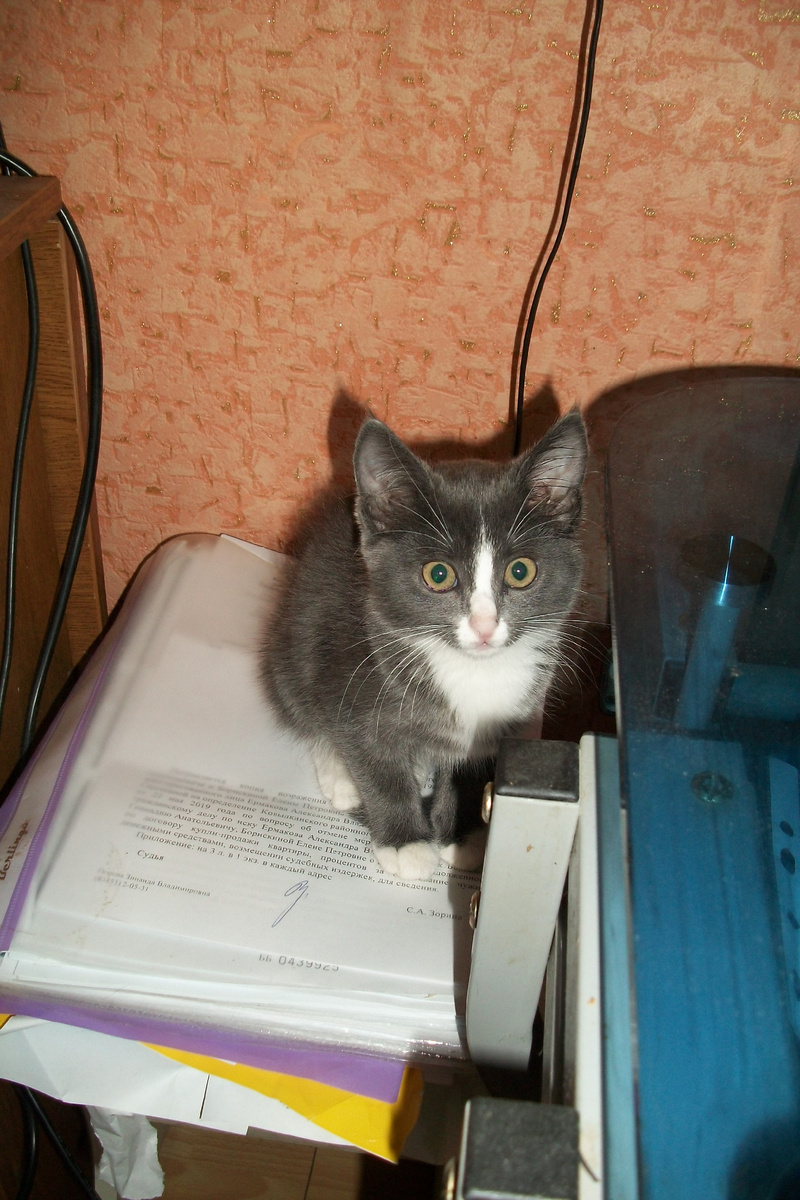 Сявка в детстве